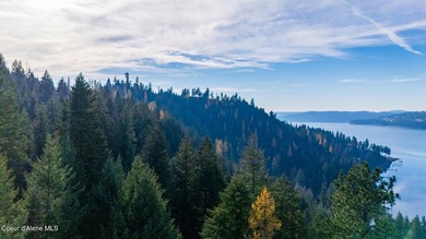 Presenting a rare North Idaho offering nearly 39 acres of - photo 34