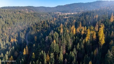 Presenting a rare North Idaho offering nearly 39 acres of - photo 35
