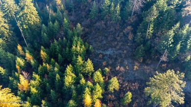 Presenting a rare North Idaho offering nearly 39 acres of - photo 36