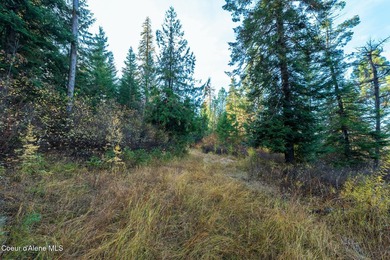 Presenting a rare North Idaho offering nearly 39 acres of - photo 41