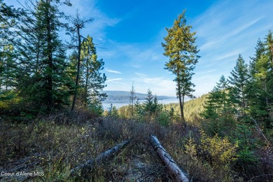 Presenting a rare North Idaho offering nearly 39 acres of - photo 42