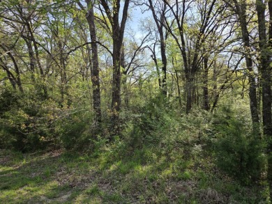 Beautiful treed 1.57 Ac  Corner Oasis - photo 19