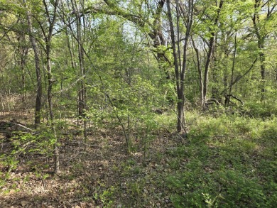Beautiful treed 1.57 Ac  Corner Oasis - photo 44