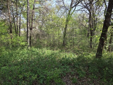 Beautiful treed 1.57 Ac  Corner Oasis - photo 35
