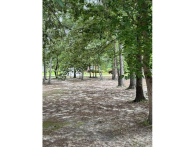 Lake Lot For Sale in Manning, South Carolina