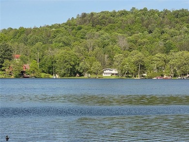LIVING LIFE MORE ON SOMERSET LAKE!! Welcome to this beautifully - photo 49