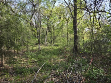 Beautiful treed 1.57 Ac  Corner Oasis - photo 28