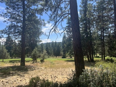 Upper Klamath Lake Lot For Sale in Klamath Falls Oregon