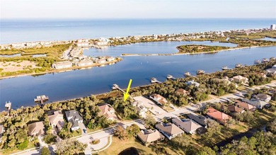 Under Construction. Welcome to luxury waterfront living in Palm - photo 17