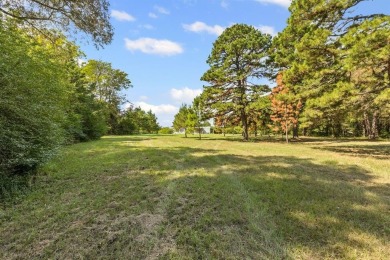 Two Houses on 9.3 Acres minutes from Lake Bob Sandlin! - photo 22