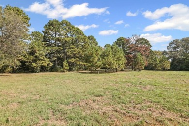 Two Houses on 9.3 Acres minutes from Lake Bob Sandlin! - photo 23