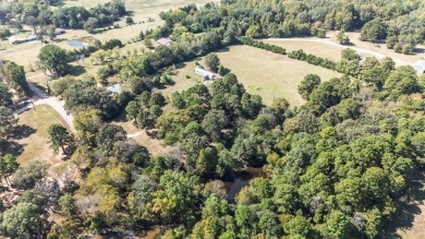 Two Houses on 9.3 Acres minutes from Lake Bob Sandlin! - photo 29