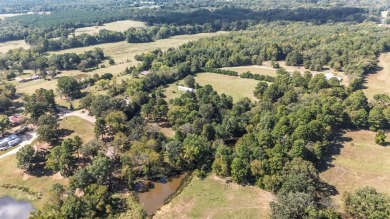 Two Houses on 9.3 Acres minutes from Lake Bob Sandlin! - photo 31
