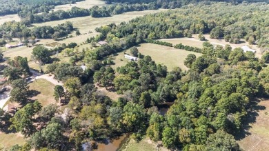 Two Houses on 9.3 Acres minutes from Lake Bob Sandlin! - photo 36
