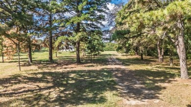Two Houses on 9.3 Acres minutes from Lake Bob Sandlin! - photo 37