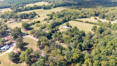 Two Houses on 9.3 Acres minutes from Lake Bob Sandlin! - photo 39