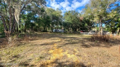 Lake Lot For Sale in Interlachen, Florida