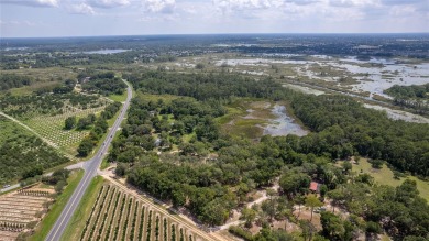 Lake Lucy  Acreage For Sale in Groveland Florida
