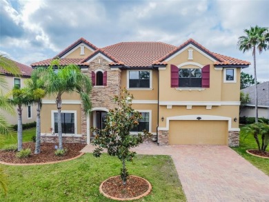 (private lake, pond, creek) Home For Sale in Tampa Florida