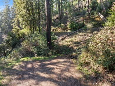 Offering end of the road privacy, this abundantly sunny vacant - photo 11