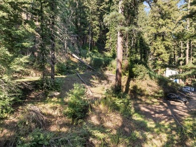 Offering end of the road privacy, this abundantly sunny vacant - photo 14