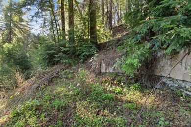 Offering end of the road privacy, this abundantly sunny vacant - photo 17