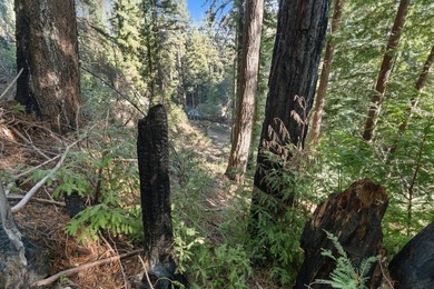 Offering end of the road privacy, this abundantly sunny vacant - photo 18