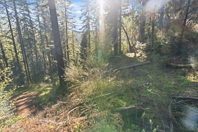Offering end of the road privacy, this abundantly sunny vacant - photo 19