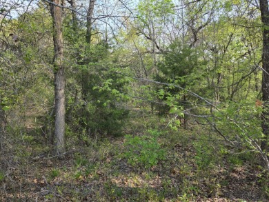 Beautiful treed 1.57 Ac  Corner Oasis - photo 43