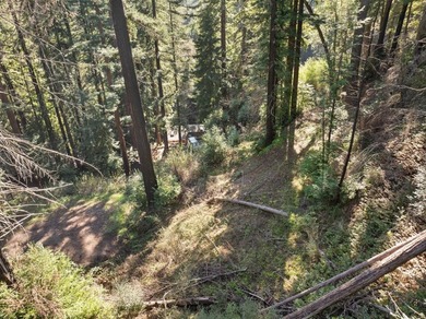 Offering end of the road privacy, this abundantly sunny vacant - photo 21