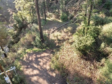 Offering end of the road privacy, this abundantly sunny vacant - photo 22
