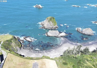 RARE OCEANFRONT COMMERCIAL OPPORTUNITYOne of the Southern Oregon - photo 3