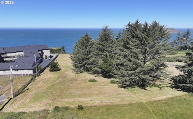 RARE OCEANFRONT COMMERCIAL OPPORTUNITYOne of the Southern Oregon - photo 6