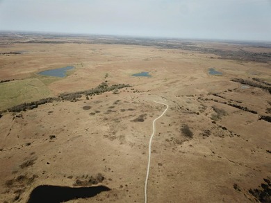 137.4 Acres of rolling native/mix pasture located just South of - photo 2