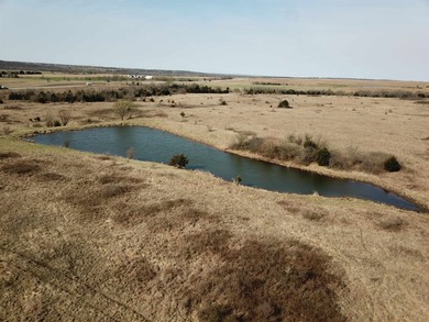 137.4 Acres of rolling native/mix pasture located just South of - photo 3