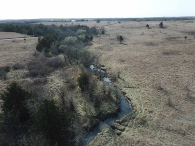 137.4 Acres of rolling native/mix pasture located just South of - photo 5