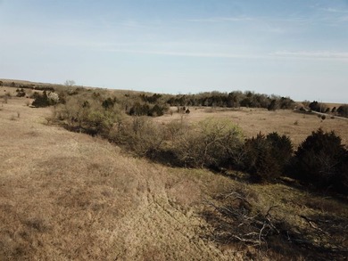 137.4 Acres of rolling native/mix pasture located just South of - photo 7