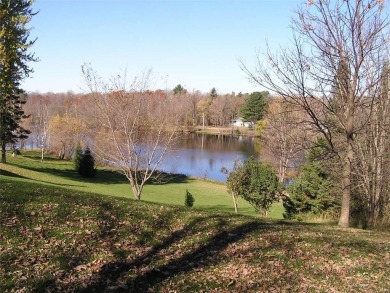 Couderay River Lot For Sale in Ladysmith Wisconsin