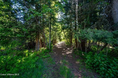Set along 290 feet of private Upper Pack River frontage on over - photo 46