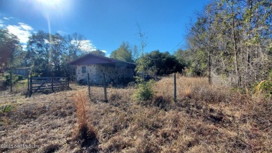 Lake Home For Sale in Interlachen, Florida