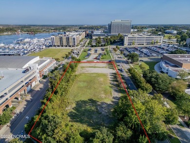 Land Development opportunity located in City of Wilmington's - photo 4