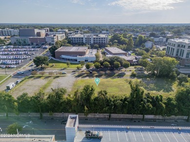 Land Development opportunity located in City of Wilmington's - photo 5
