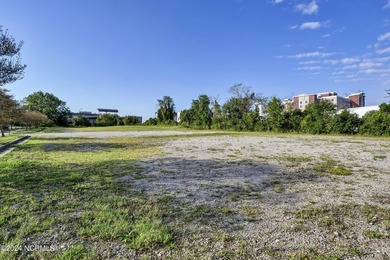 Land Development opportunity located in City of Wilmington's - photo 7