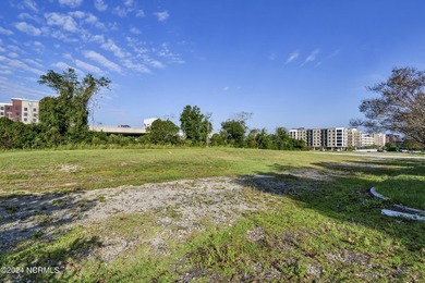 Land Development opportunity located in City of Wilmington's - photo 10