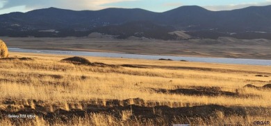 Eleven Mile Canyon Reservoir Acreage For Sale in Lake George Colorado