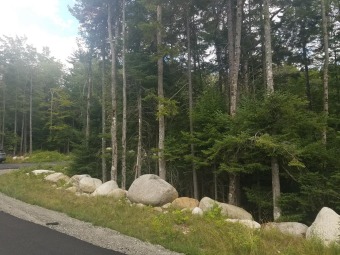 Mirror Lake Lot For Sale in Lake Placid New York