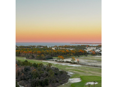 One of only a handful of west-end Corner units in Ariel Dunes I - photo 42