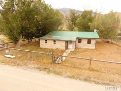 Salmon River - Lehmi County Home For Sale in Challis Idaho