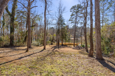 Lakefront Retreat - photo 28