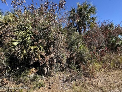 PRIME PARCEL in SW Palm Bay! Secure land at an ENTRY-LEVEL PRICE - photo 5